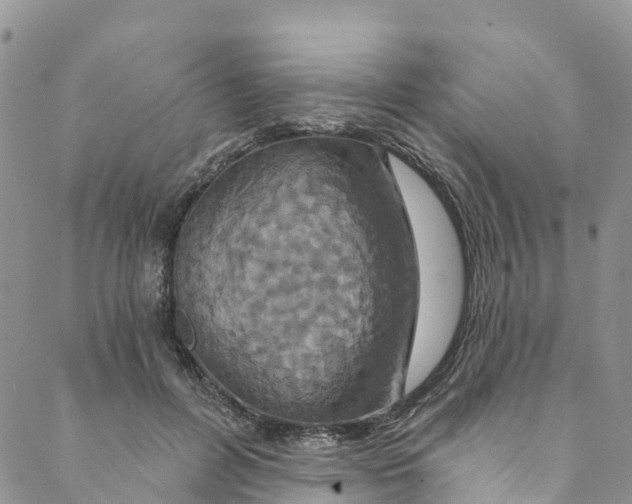 X0000088470600200706121531