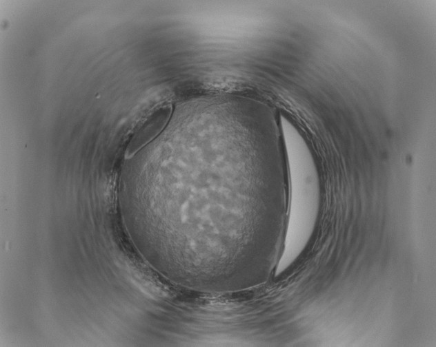 X0000088470601200706121531