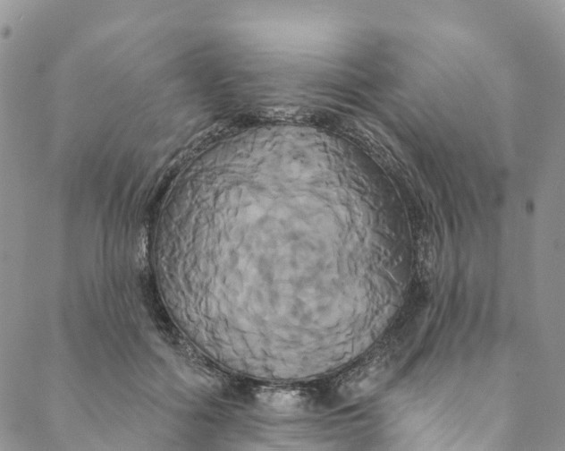 X0000088470602200706121531