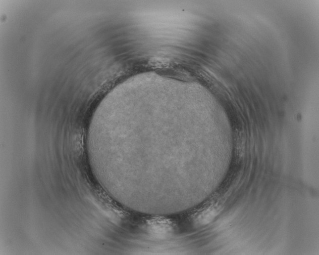 X0000088470603200706121531