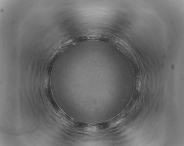 X0000088470604200706121531