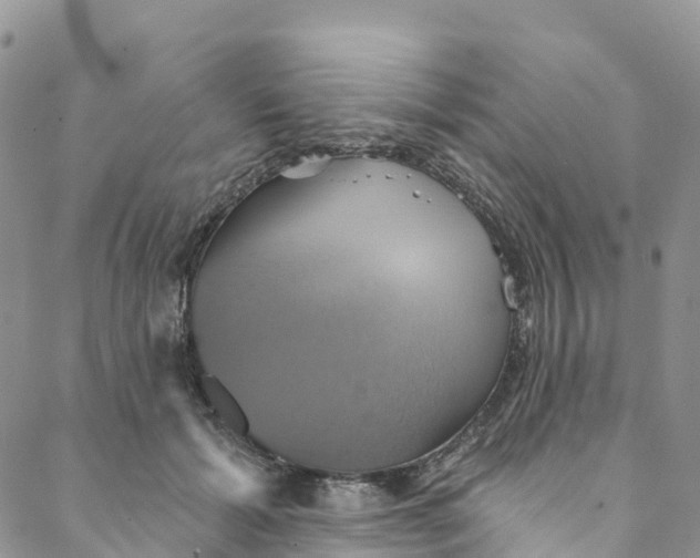 X0000088470605200706121531