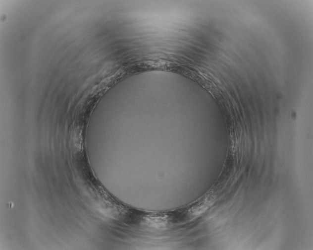 X0000088470606200706121531