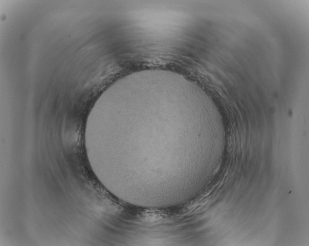 X0000088470608200706121531