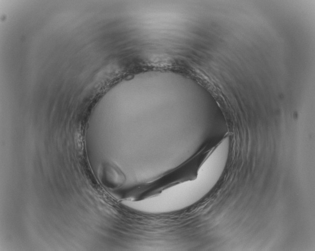 X0000088470609200706121531