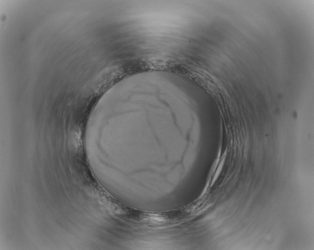 X0000088470610200706121531