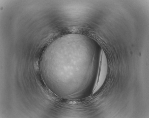 X0000088470611200706121531