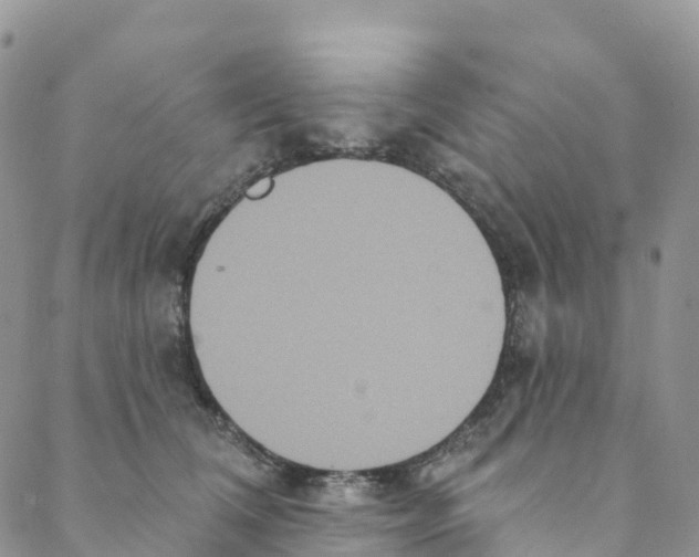 X0000088470612200706121531