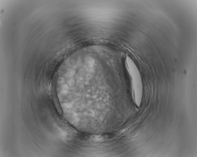 X0000088470613200706121531