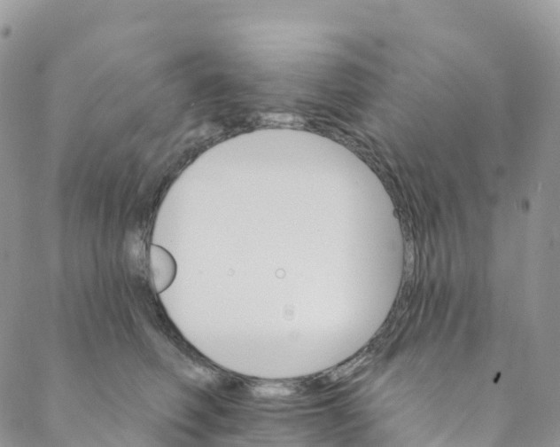 X0000088470614200706121531