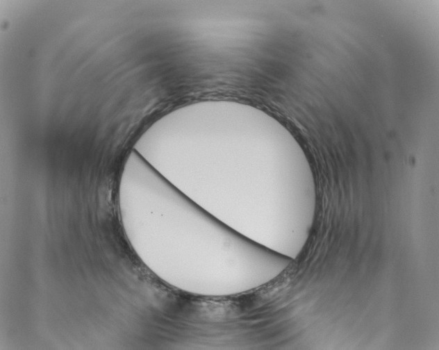 X0000088470615200706121531