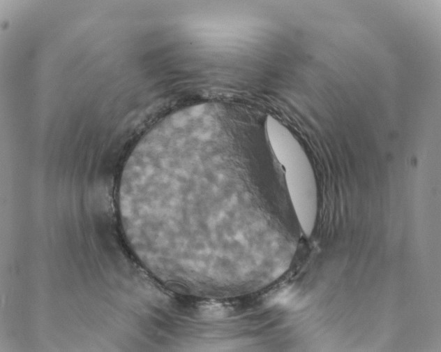 X0000088470616200706121531