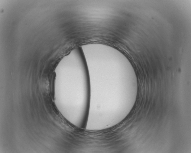 X0000088470617200706121531