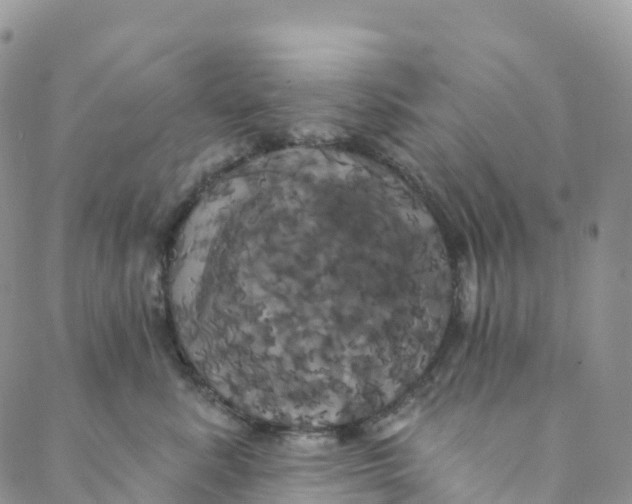 X0000088470619200706121531