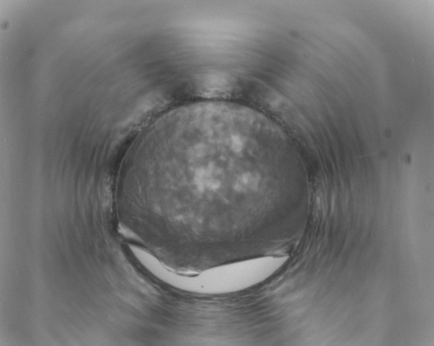 X0000088470620200706121531