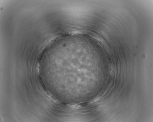 X0000088470621200706121531