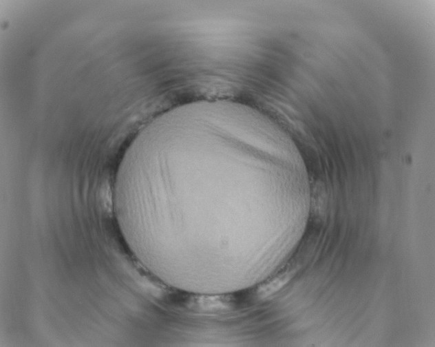 X0000088470622200706121531