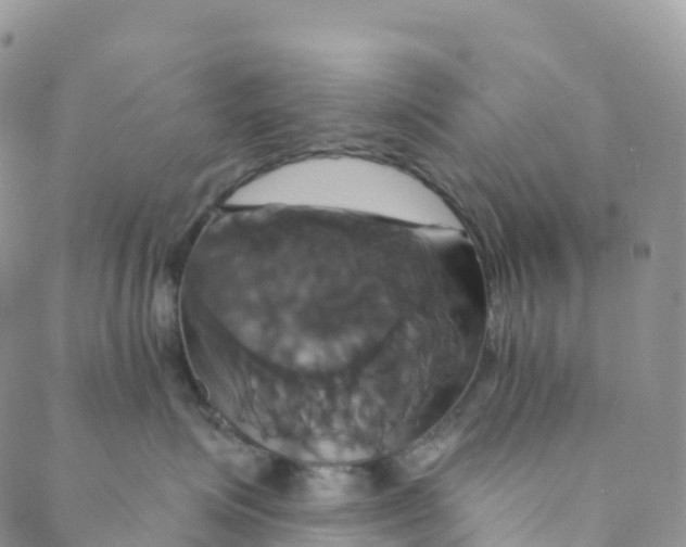 X0000088470623200706121531