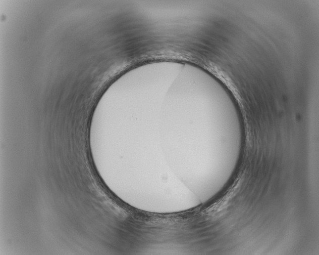 X0000088470625200706121530