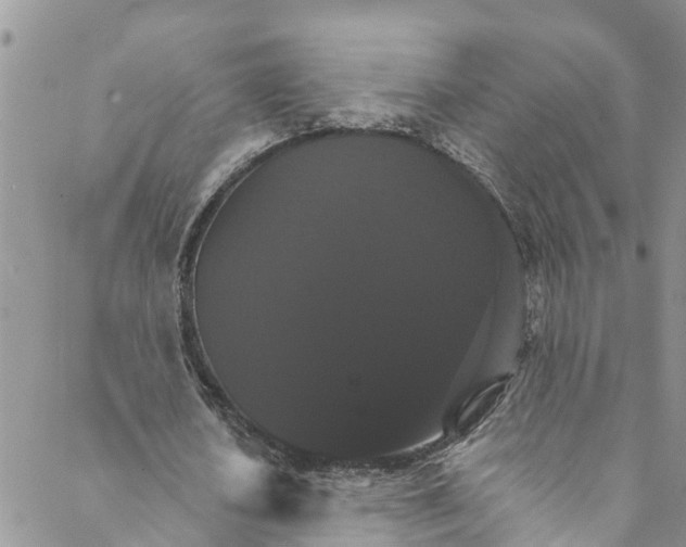 X0000088470626200706121530