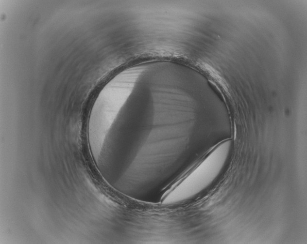 X0000088470627200706121530