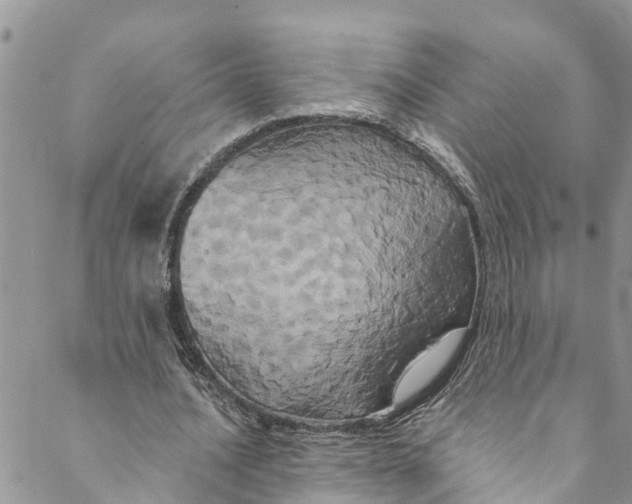 X0000088470628200706121530