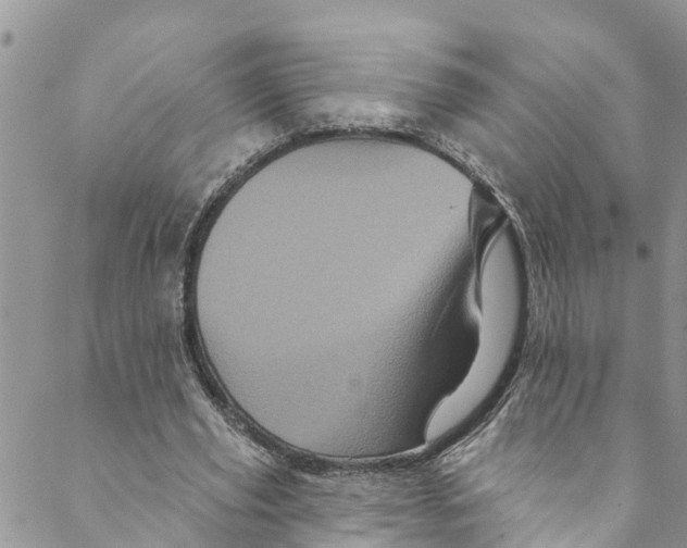 X0000088470629200706121530