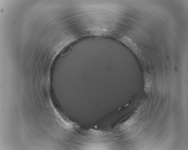 X0000088470630200706121530