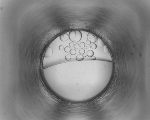 X0000088470631200706121530