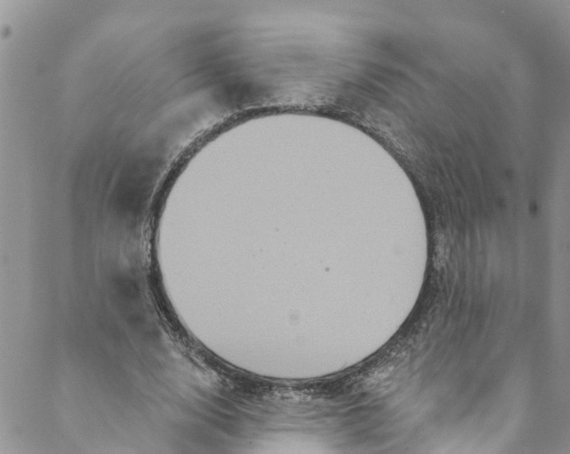 X0000088470632200706121530