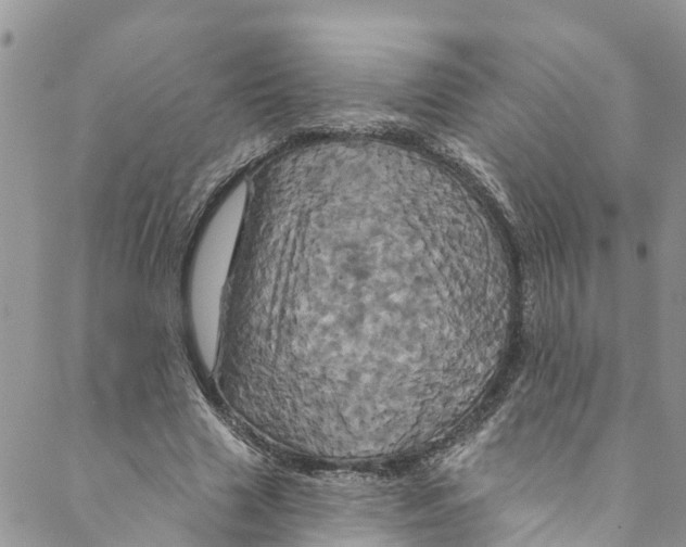 X0000088470633200706121530