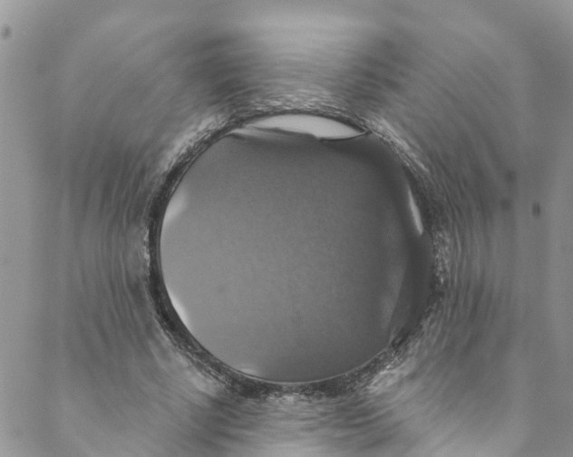 X0000088470634200706121530