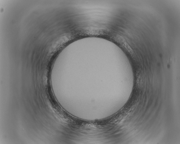 X0000088470635200706121530