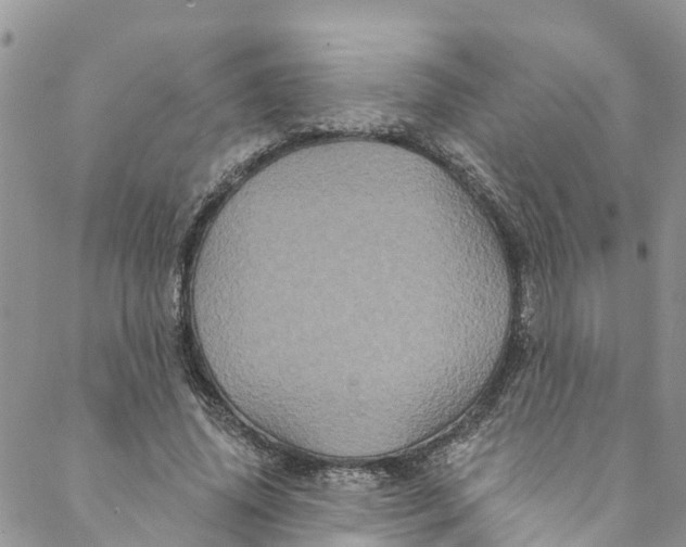 X0000088470636200706121530