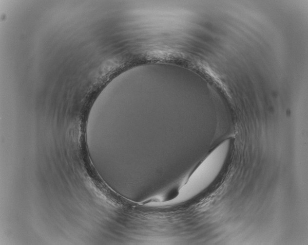 X0000088470637200706121530