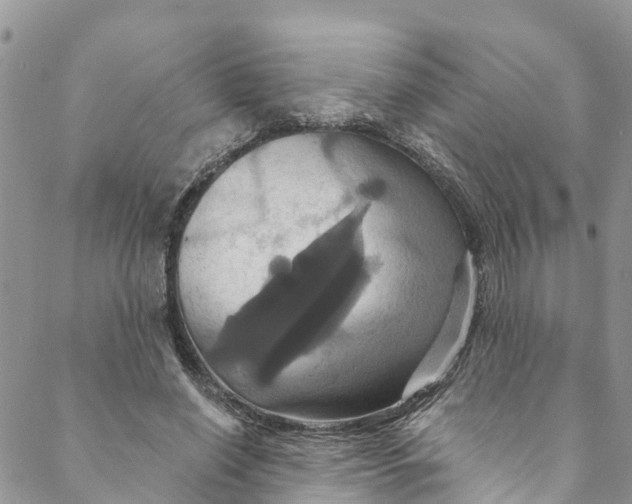 X0000088470638200706121530