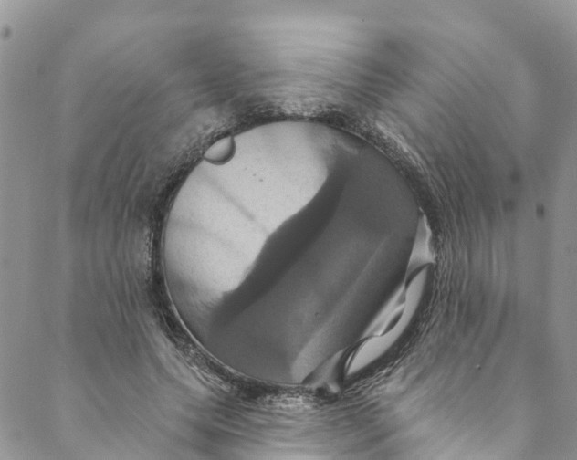 X0000088470639200706121530