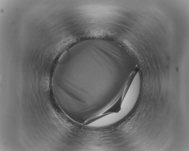 X0000088470640200706121530