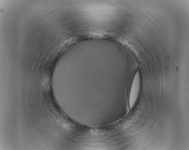 X0000088470641200706121530