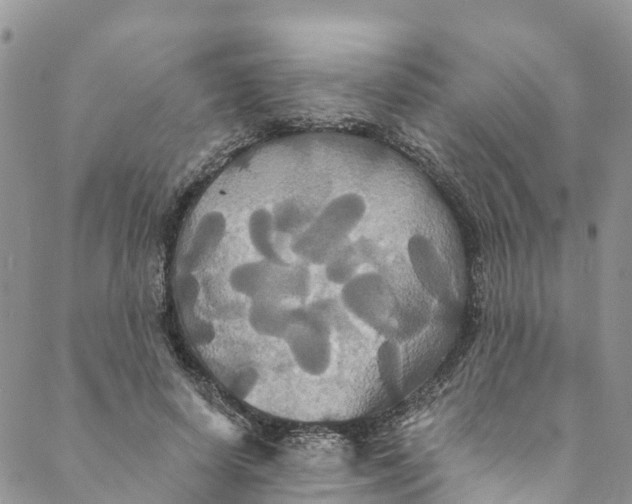 X0000088470642200706121530