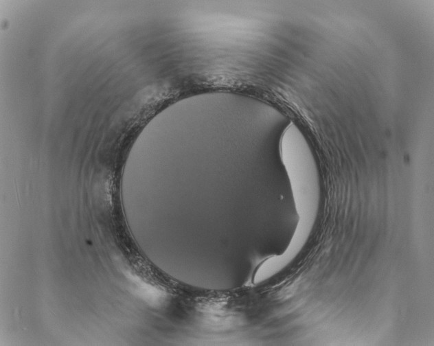 X0000088470643200706121530