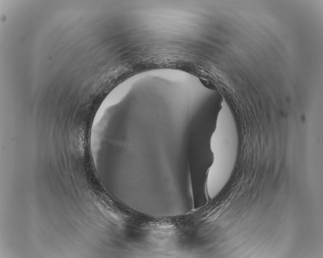 X0000088470644200706121530