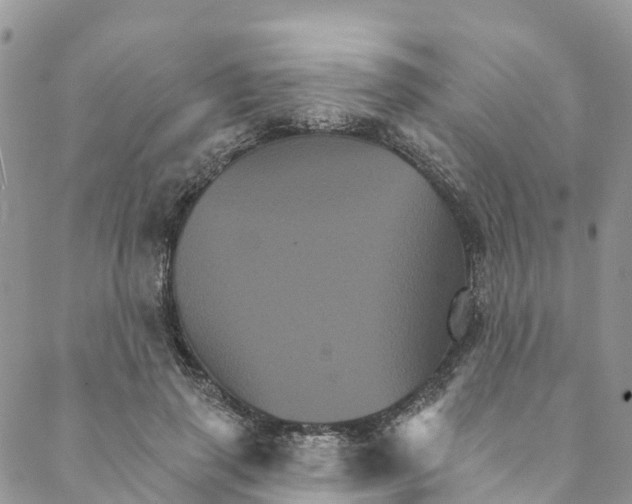 X0000088470645200706121530