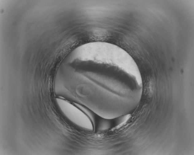 X0000088470647200706121530