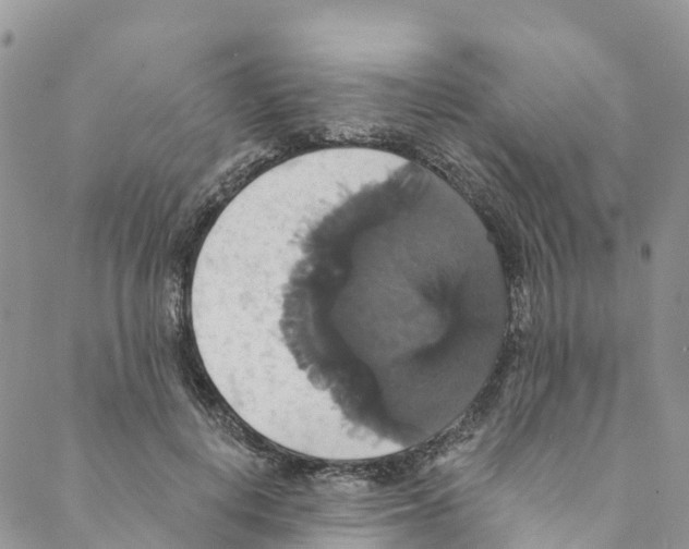 X0000088470648200706121530