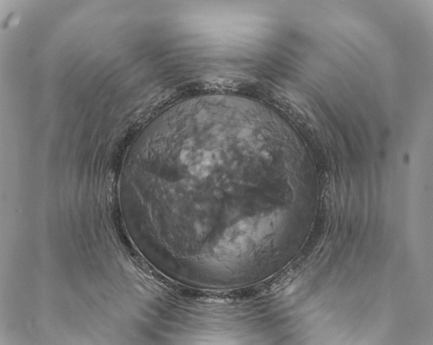 X0000088470649200706121530