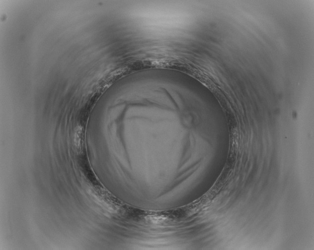 X0000088470650200706121530