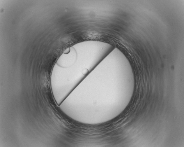 X0000088470651200706121530