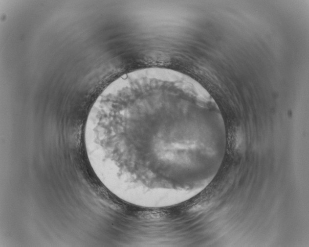 X0000088470652200706121530