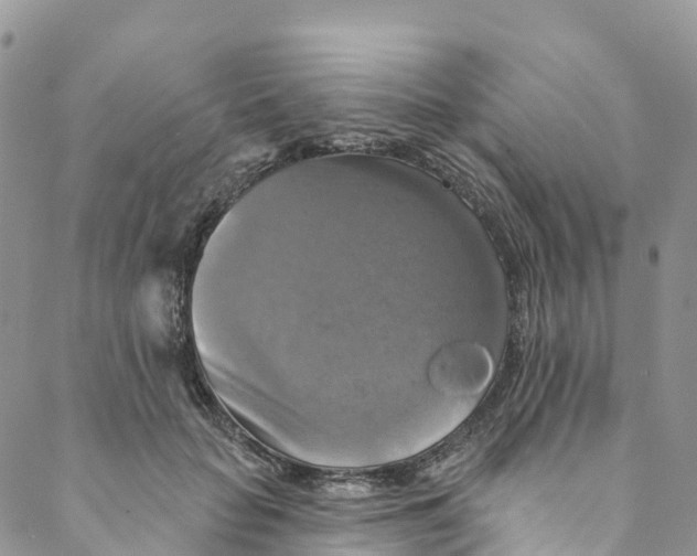 X0000088470653200706121530